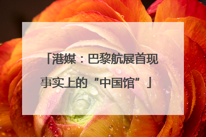 港媒：巴黎航展首现事实上的“中国馆”