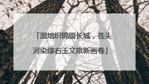 湿地织锦缀长城，苍头河染绿右玉文旅新画卷