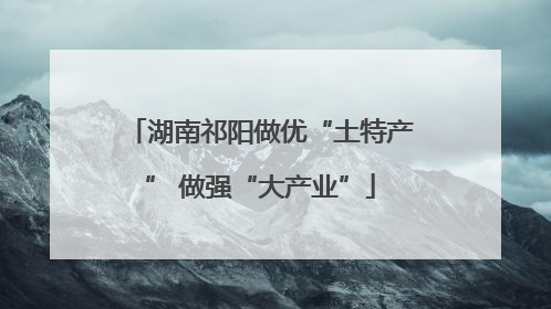 湖南祁阳做优“土特产” 做强“大产业”
