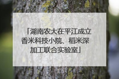 湖南农大在平江成立香米科技小院、稻米深加工联合实验室