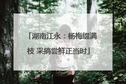 湖南江永：杨梅缀满枝 采摘尝鲜正当时