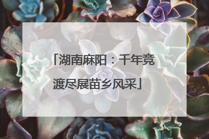 湖南麻阳：千年竞渡尽展苗乡风采