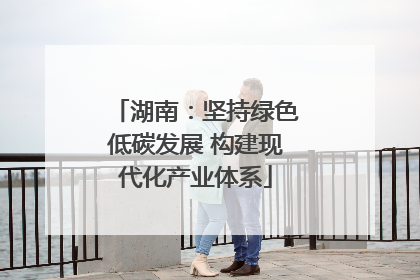 湖南：坚持绿色低碳发展 构建现代化产业体系