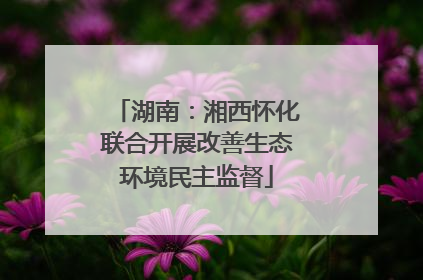 湖南：湘西怀化联合开展改善生态环境民主监督