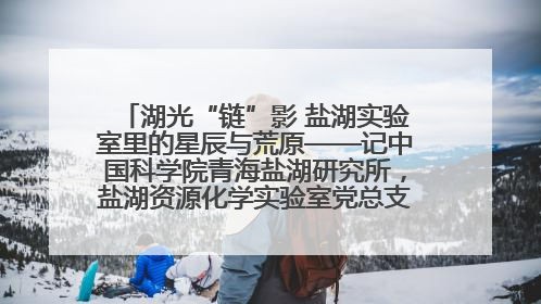 湖光“链”影 盐湖实验室里的星辰与荒原——记中国科学院青海盐湖研究所，盐湖资源化学实验室党总支书记、副主任刘忠