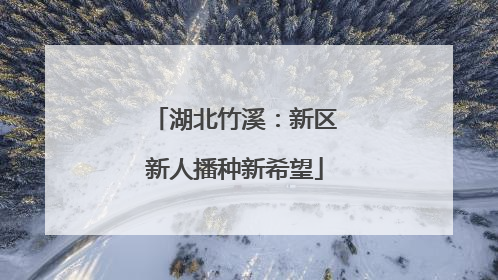 湖北竹溪：新区新人播种新希望
