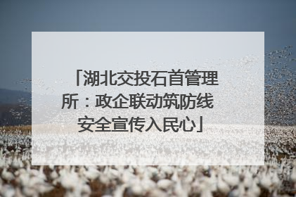 湖北交投石首管理所：政企联动筑防线 安全宣传入民心