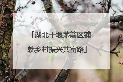 湖北十堰茅箭区铺就乡村振兴共富路