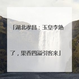 湖北孝昌：玉皇李熟了，果香四溢引客来