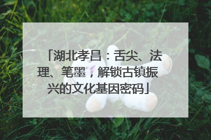 湖北孝昌：舌尖、法理、笔墨，解锁古镇振兴的文化基因密码