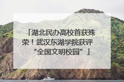 湖北民办高校首获殊荣！武汉东湖学院获评“全国文明校园”