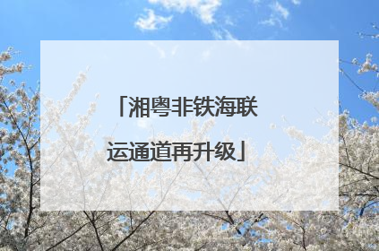 湘粤非铁海联运通道再升级