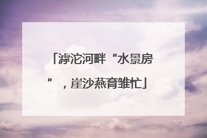 滹沱河畔“水景房”，崖沙燕育雏忙