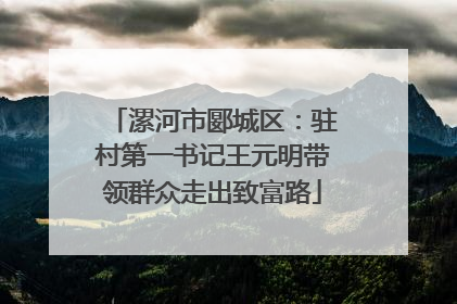 漯河市郾城区：驻村第一书记王元明带领群众走出致富路