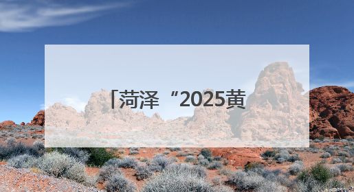 菏泽“2025黄河大集—曹州牡丹园夜游消夏季”开幕