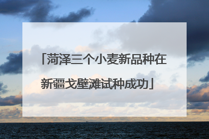 菏泽三个小麦新品种在新疆戈壁滩试种成功