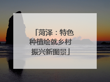 菏泽：特色种植绘就乡村振兴新图景