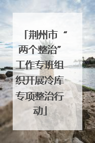 荆州市“两个整治”工作专班组织开展冷库专项整治行动