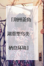 荆州菱角湖重塑鸟类栖息环境