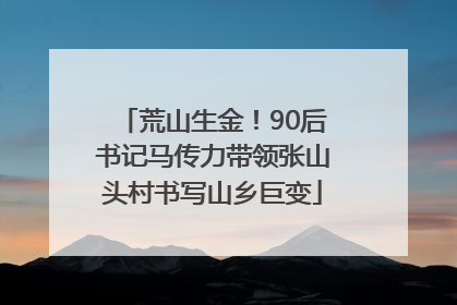荒山生金！90后书记马传力带领张山头村书写山乡巨变