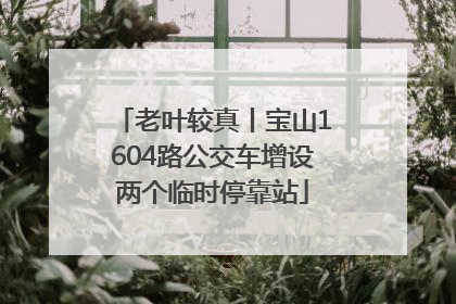 老叶较真丨宝山1604路公交车增设两个临时停靠站