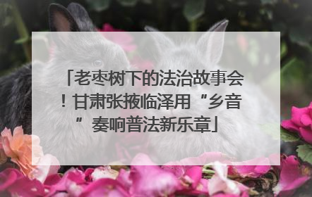 老枣树下的法治故事会！甘肃张掖临泽用“乡音”奏响普法新乐章