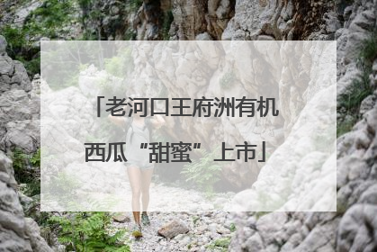 老河口王府洲有机西瓜“甜蜜”上市