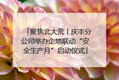 聚焦北大荒丨庆丰分公司举办企地联动“安全生产月”启动仪式