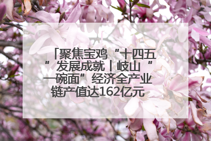 聚焦宝鸡“十四五”发展成就丨岐山“一碗面”经济全产业链产值达162亿元 入选全国典型县