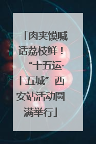 肉夹馍喊话荔枝鲜！“十五运·十五城”西安站活动圆满举行