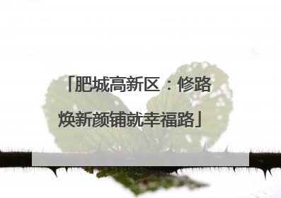肥城高新区：修路焕新颜铺就幸福路