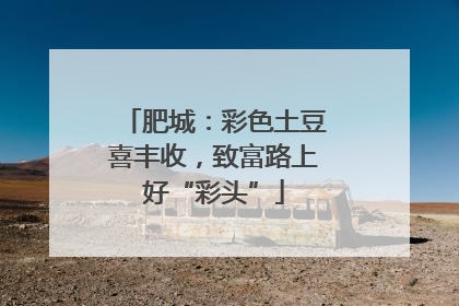肥城：彩色土豆喜丰收，致富路上好“彩头”