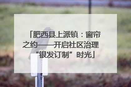 肥西县上派镇：窗帘之约——开启社区治理“银发订制”时光