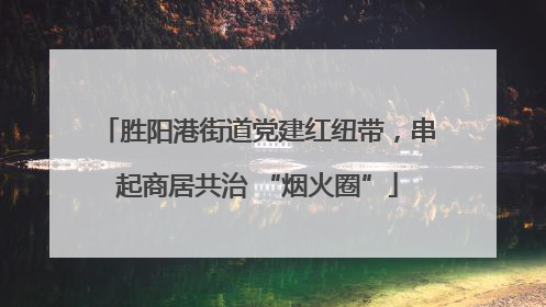 胜阳港街道党建红纽带，串起商居共治 “烟火圈”