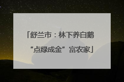 舒兰市：林下养白鹅 “点绿成金”富农家