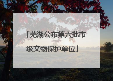 芜湖公布第六批市级文物保护单位