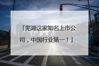 芜湖这家知名上市公司，中国行业第一！
