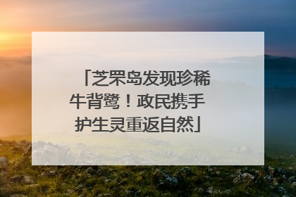 芝罘岛发现珍稀牛背鹭！政民携手护生灵重返自然