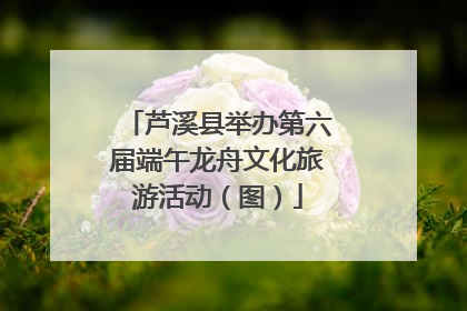 芦溪县举办第六届端午龙舟文化旅游活动（图）