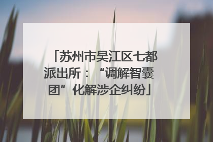 苏州市吴江区七都派出所：“调解智囊团”化解涉企纠纷