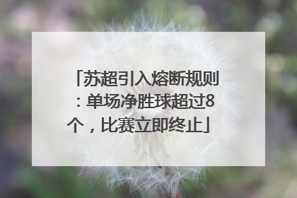 苏超引入熔断规则：单场净胜球超过8个，比赛立即终止
