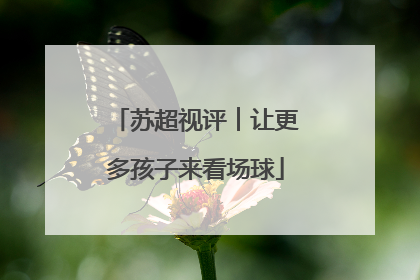 苏超视评︱让更多孩子来看场球