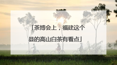 茶博会上，福建这个县的高山白茶有看点