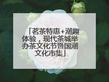 茗茶特惠+潮趣体验，现代茶城举办茶文化节暨国潮文化市集