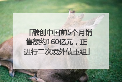 融创中国前5个月销售额约160亿元，正进行二次境外债重组