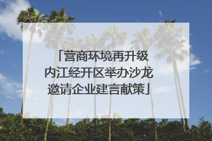 营商环境再升级 内江经开区举办沙龙邀请企业建言献策