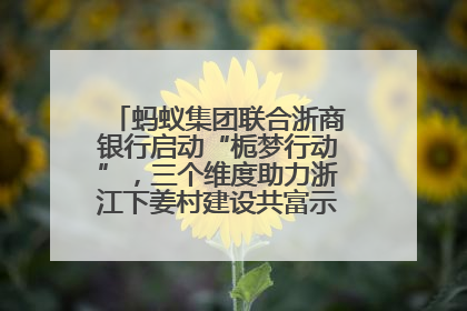 蚂蚁集团联合浙商银行启动“栀梦行动”，三个维度助力浙江下姜村建设共富示范区示范点