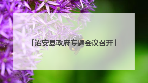 诏安县政府专题会议召开