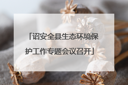 诏安全县生态环境保护工作专题会议召开