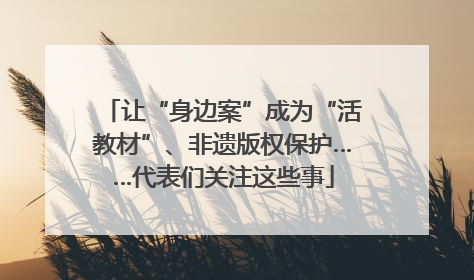 让“身边案”成为“活教材”、非遗版权保护……代表们关注这些事